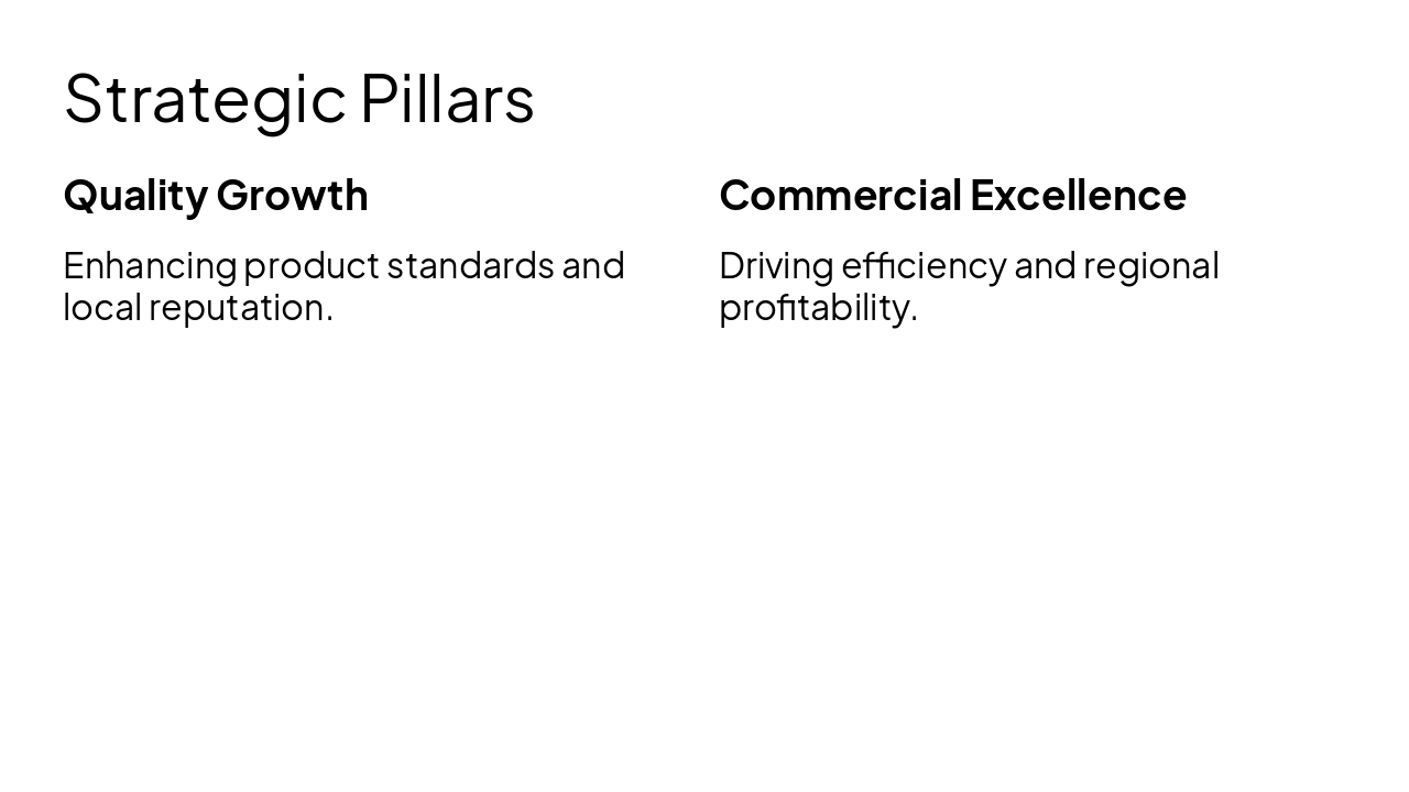 Slide 9 - Strategic Pillars