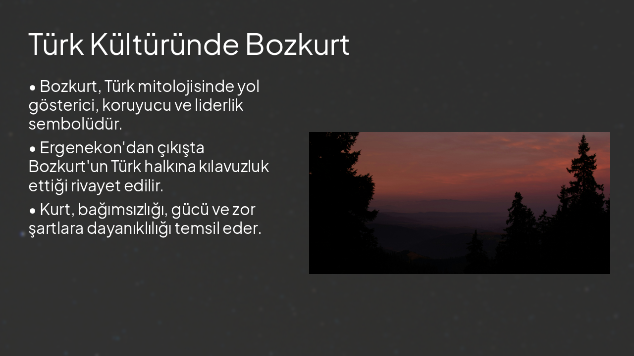 Slide 8 - Türk Kültüründe Bozkurt