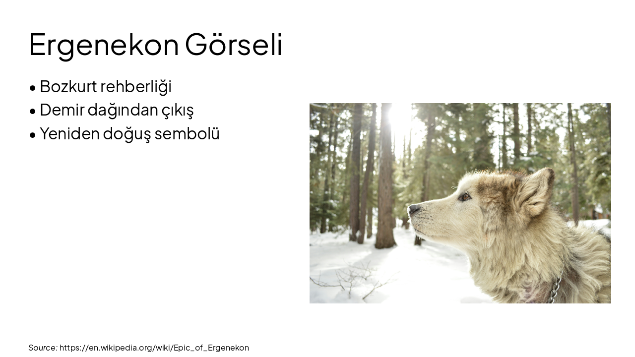 Slide 7 - Ergenekon Görseli