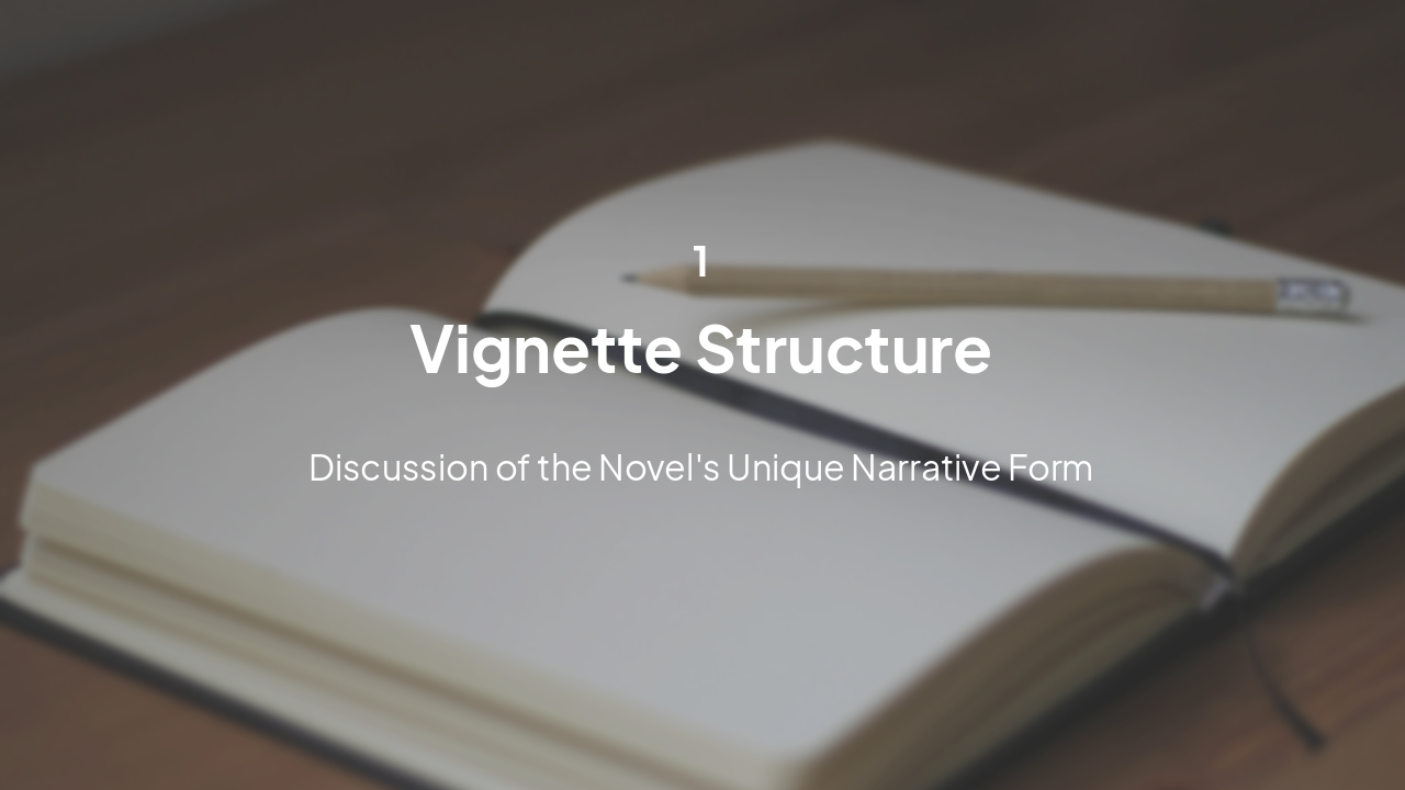 Slide 4 - Vignette Structure