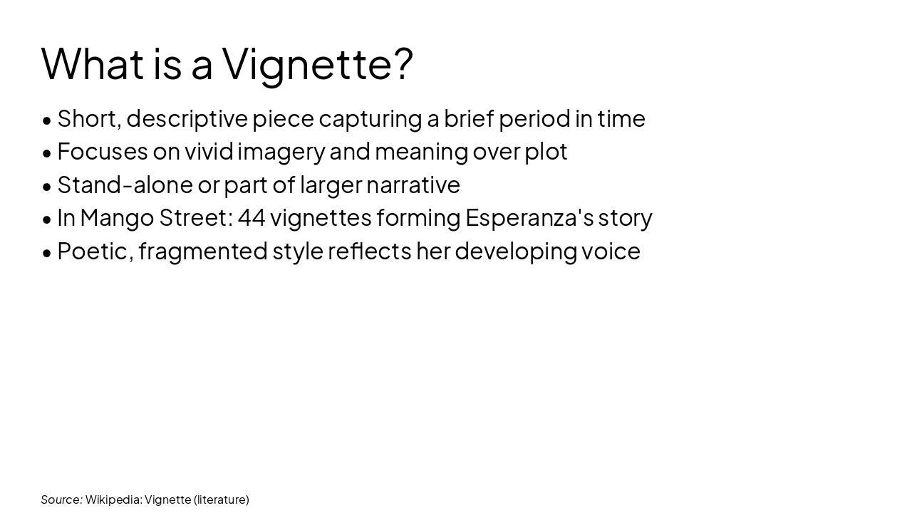 Slide 5 - What is a Vignette?