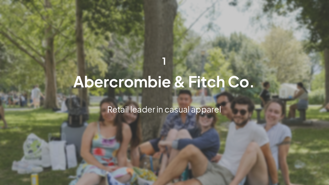 Slide 3 - Company Overview