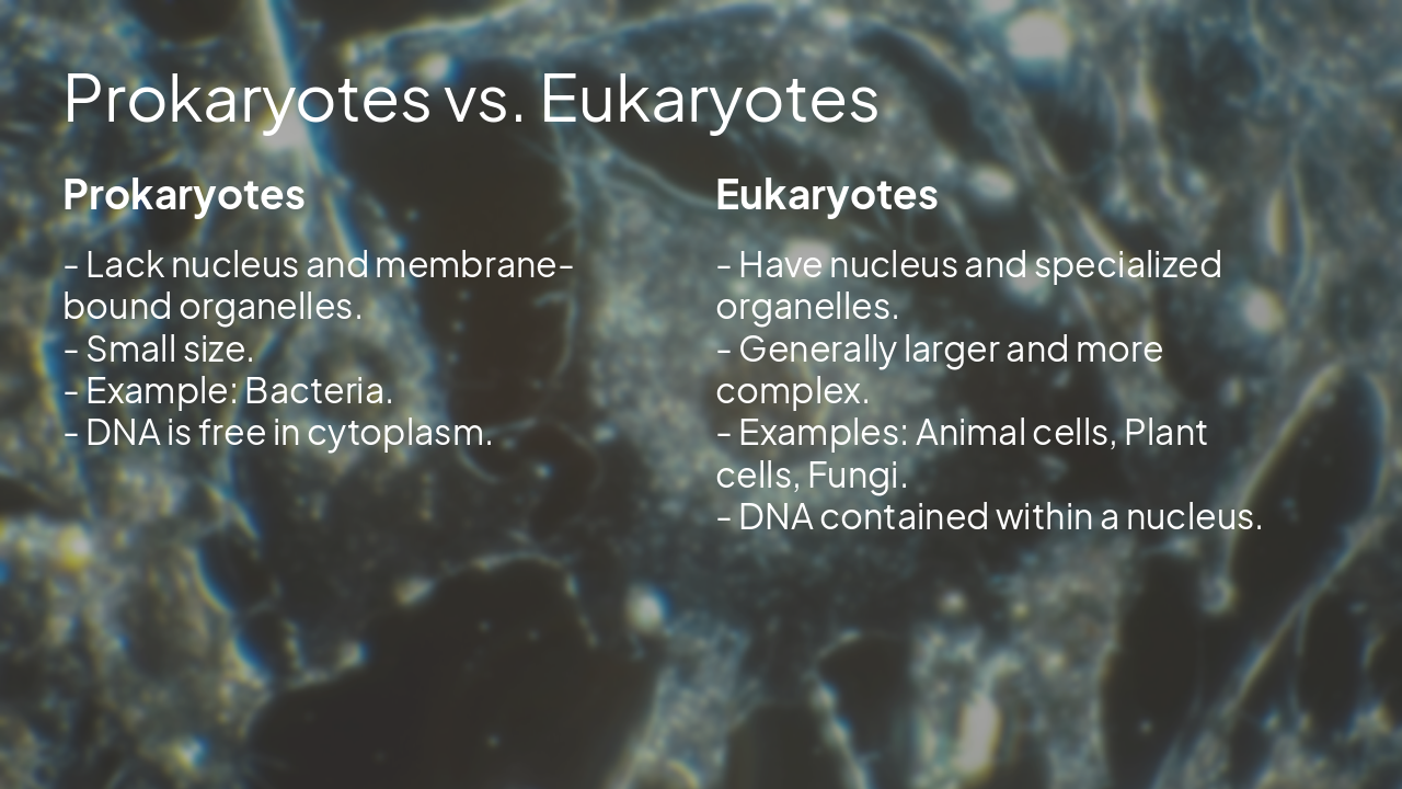 Slide 7 - Prokaryotes vs. Eukaryotes