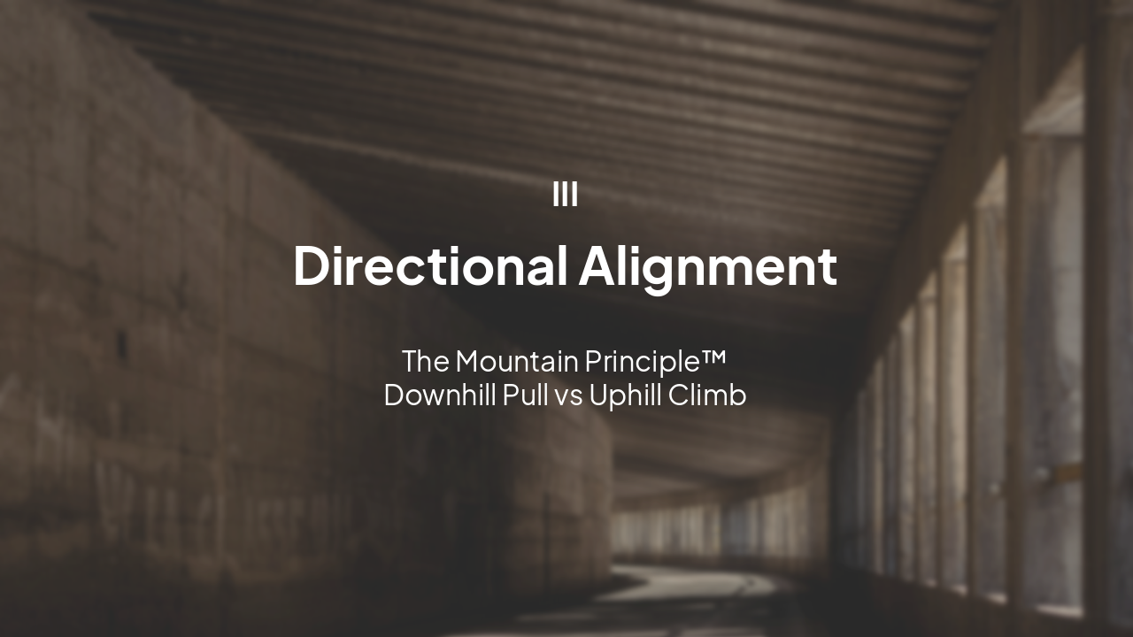 Slide 15 - Phase III