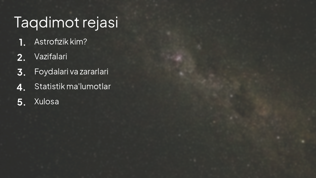 Slide 2 - Taqdimot rejasi