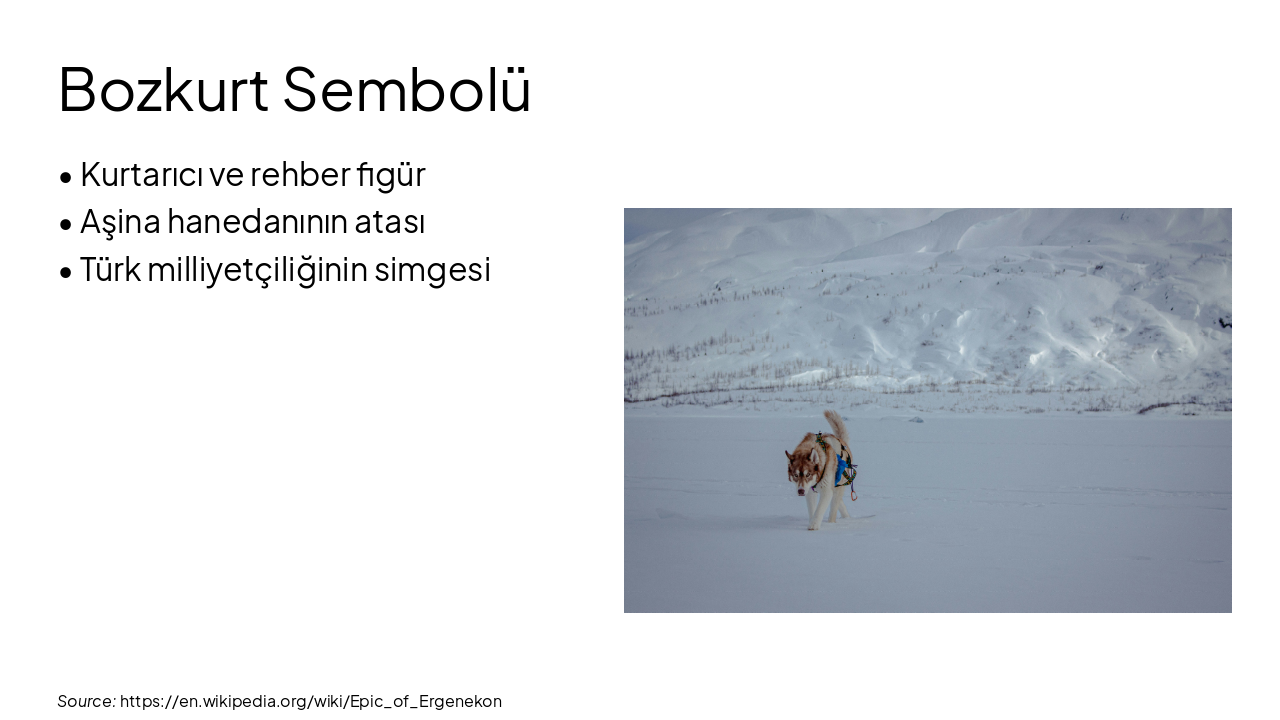 Slide 5 - Bozkurt Sembolü