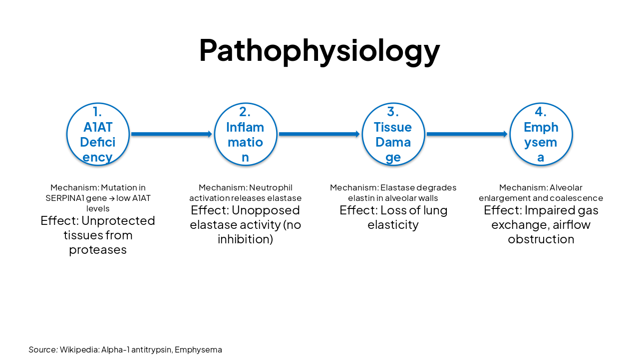 Slide 6 - Pathophysiology