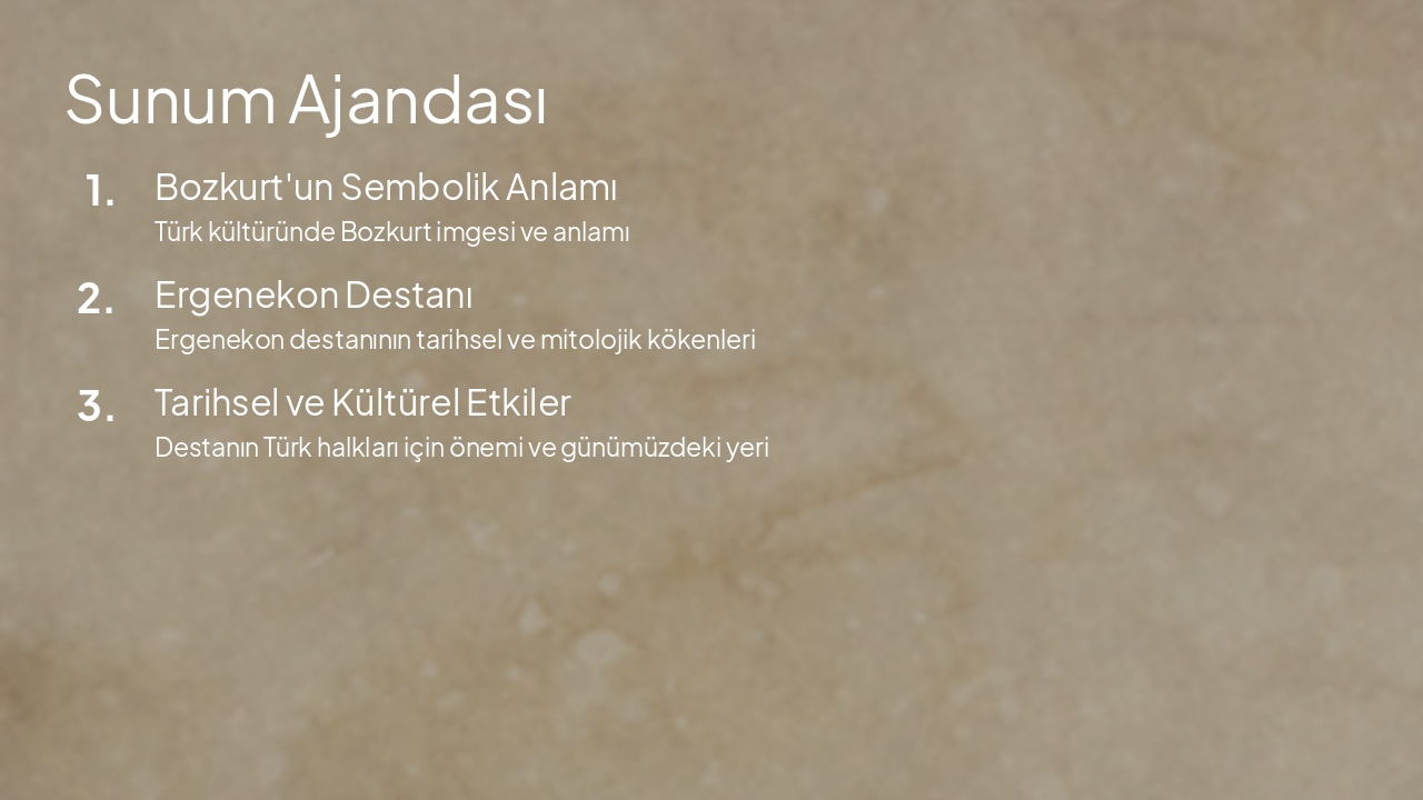 Slide 2 - Sunum Ajandası