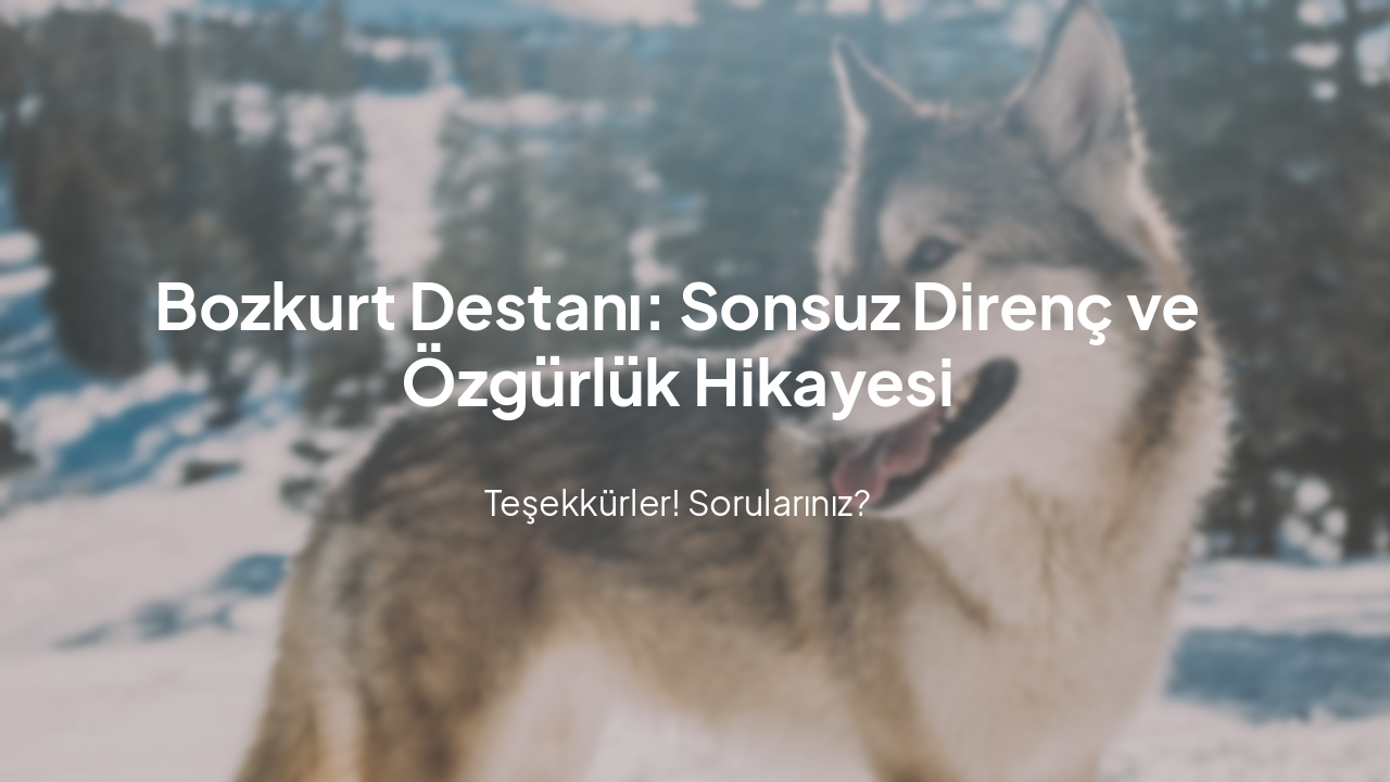 Slide 9 - Sonuç