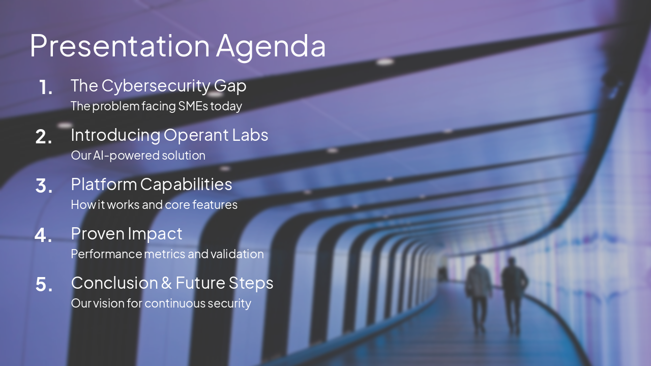 Slide 2 - Presentation Agenda