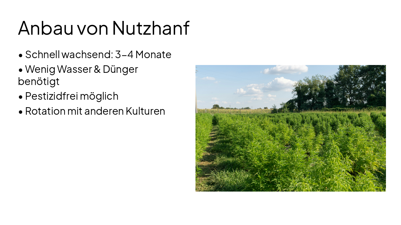 Slide 5 - Anbau von Nutzhanf