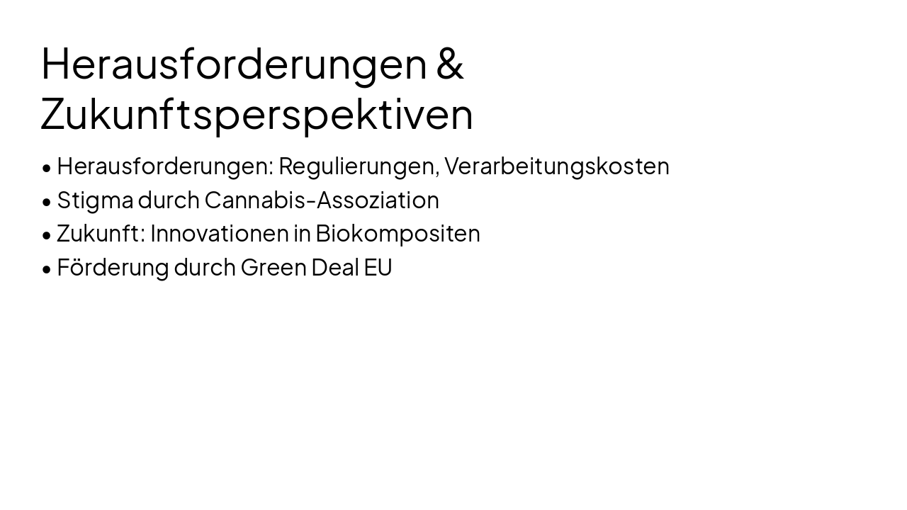 Slide 11 - Herausforderungen & Zukunftsperspektiven