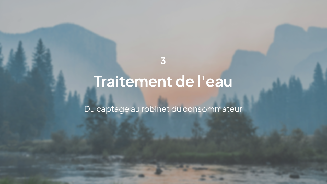 Slide 7 - Processus de traitement