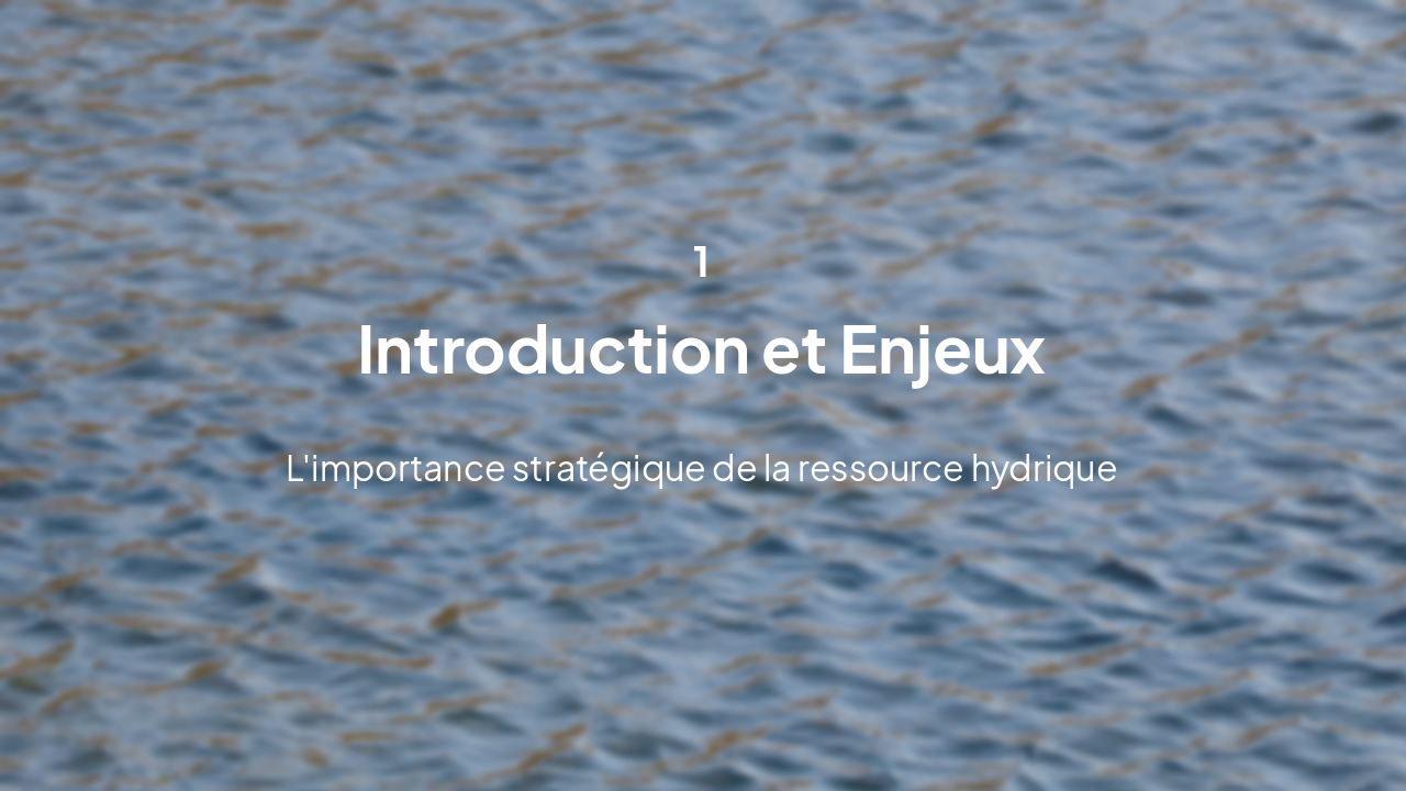 Slide 3 - Introduction