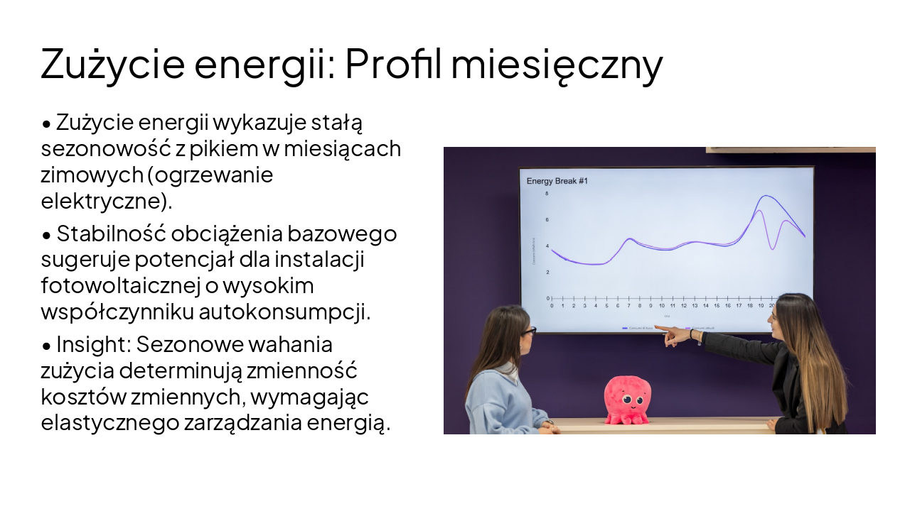 Slide 4 - Zużycie energii: Profil miesięczny
