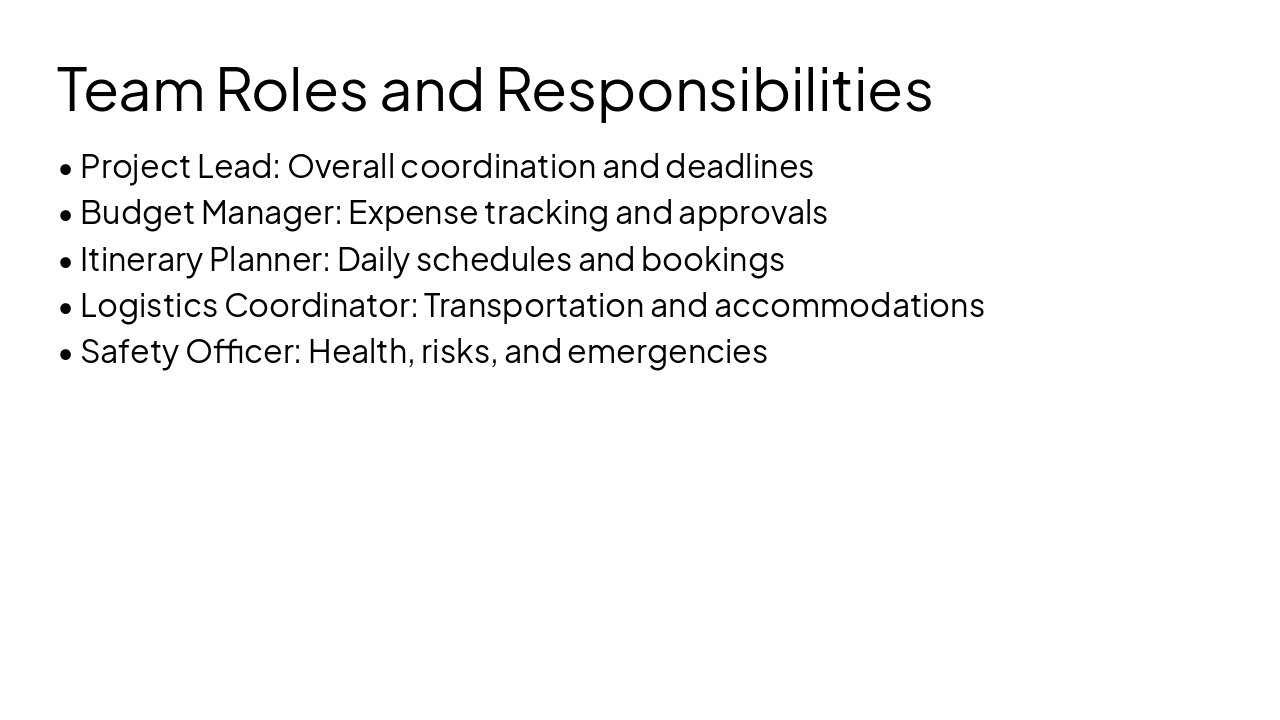 Slide 10 - Team Roles and Responsibilities