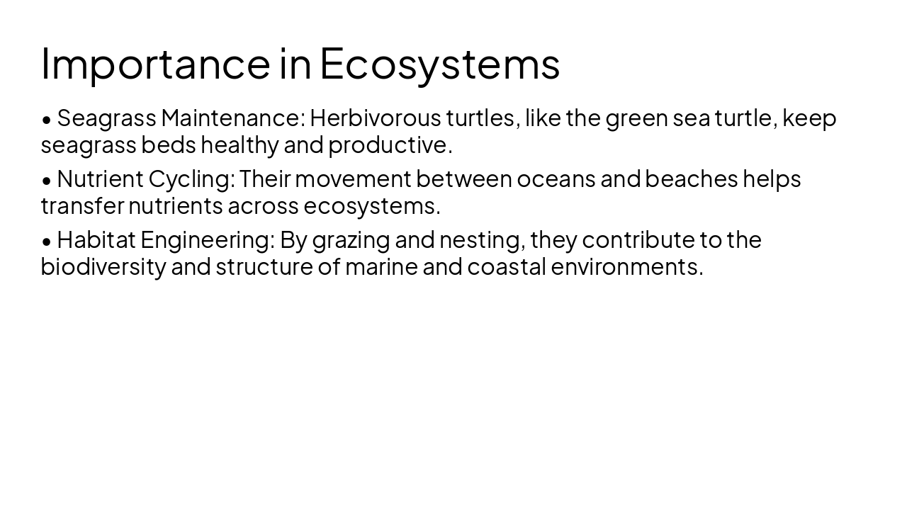 Slide 11 - Importance in Ecosystems