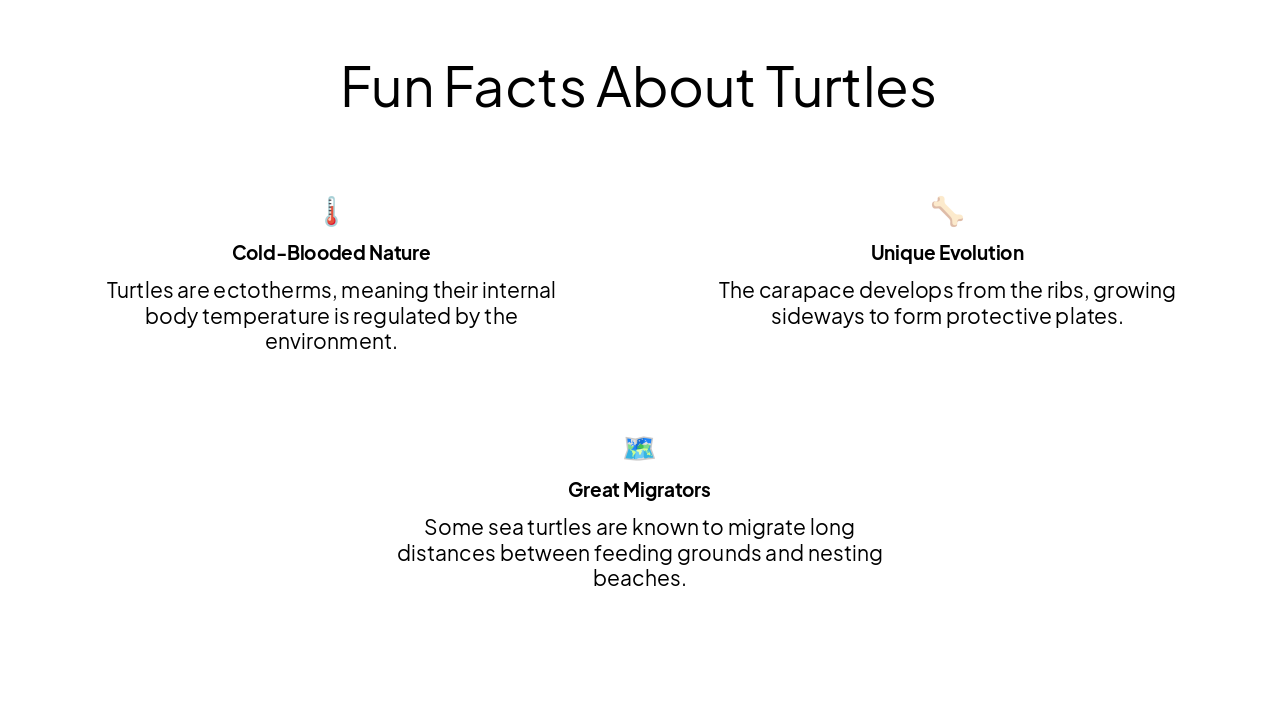 Slide 8 - Fun Facts About Turtles
