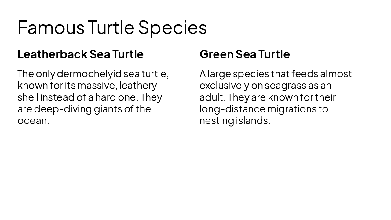 Slide 10 - Famous Turtle Species