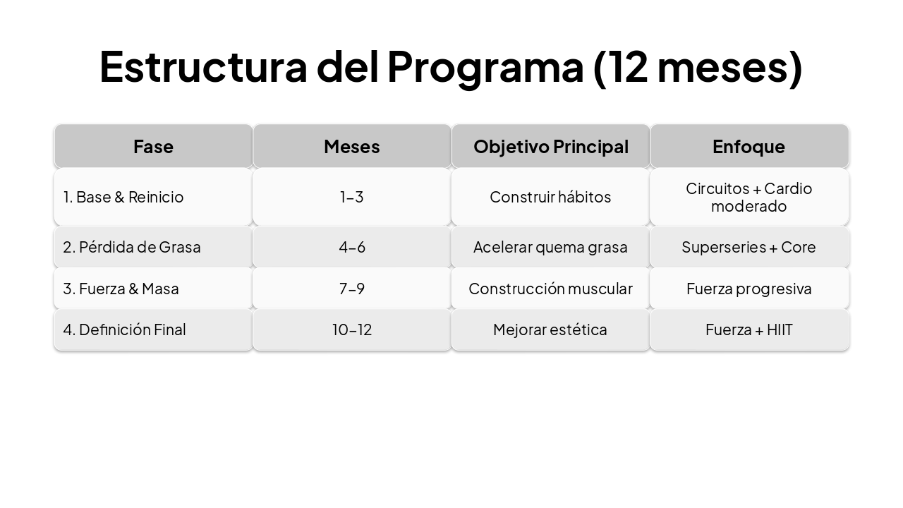 Slide 3 - Estructura del Programa (12 meses)