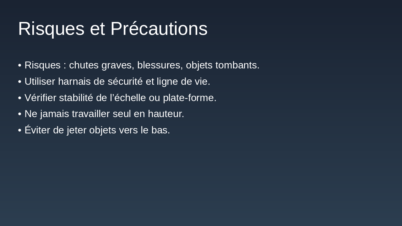 Slide 16 - Risques et Précautions