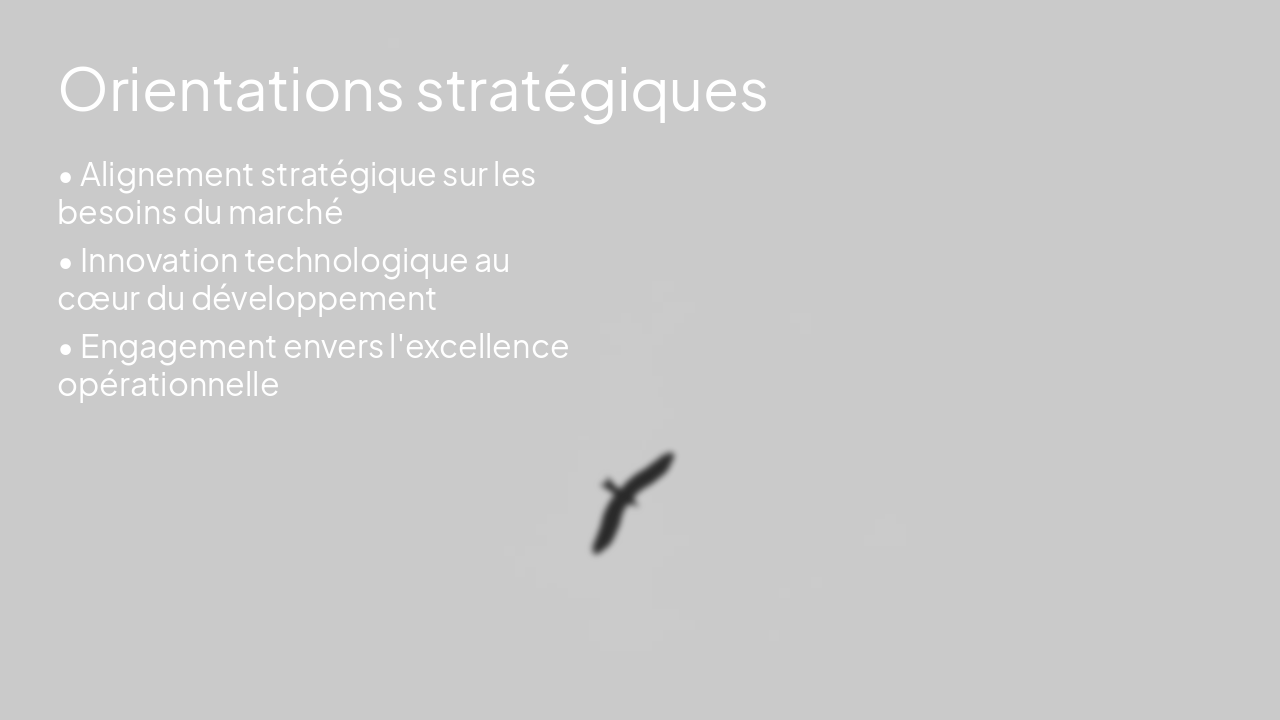 Slide 4 - Orientations stratégiques