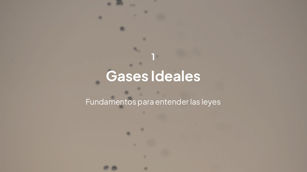Slide 3 - Introducción