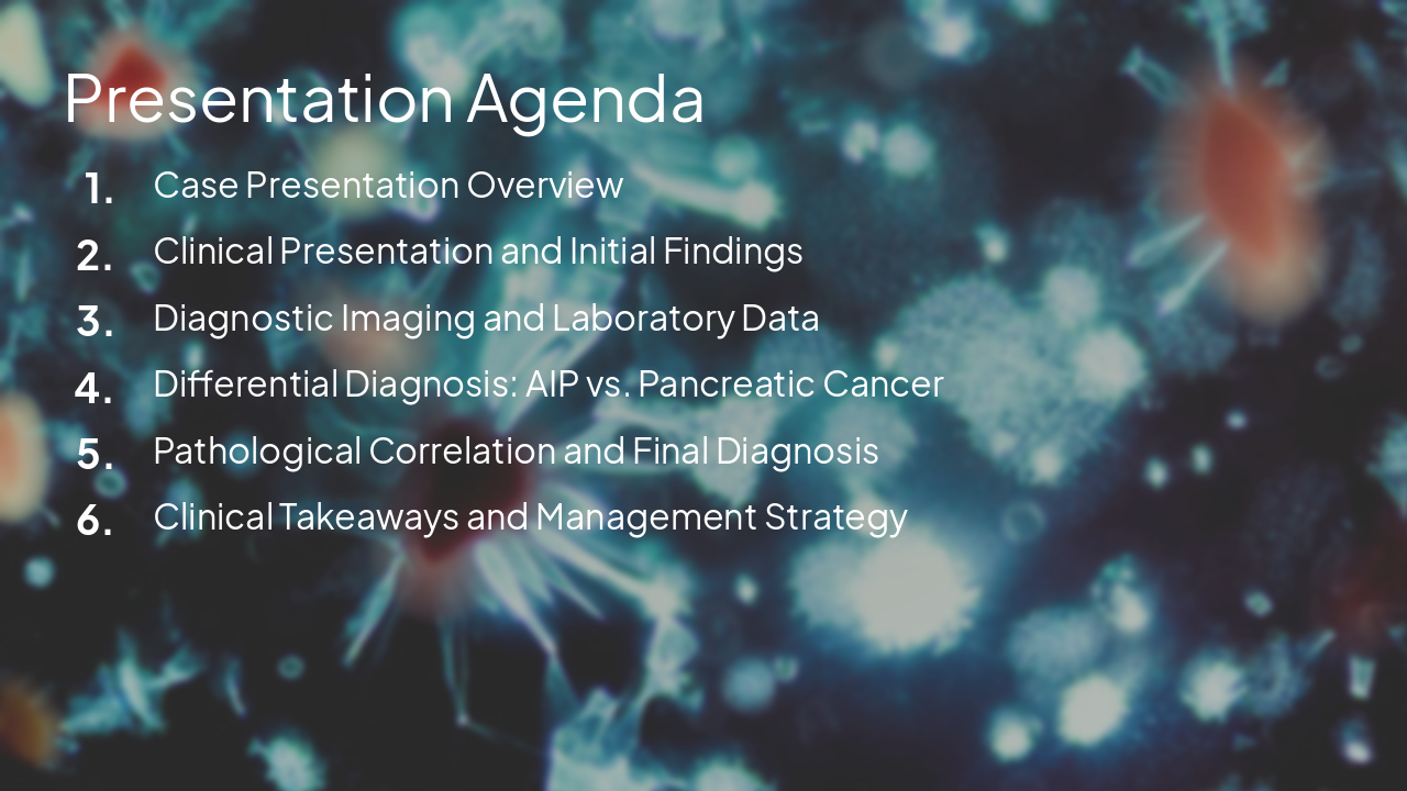 Slide 2 - Presentation Agenda