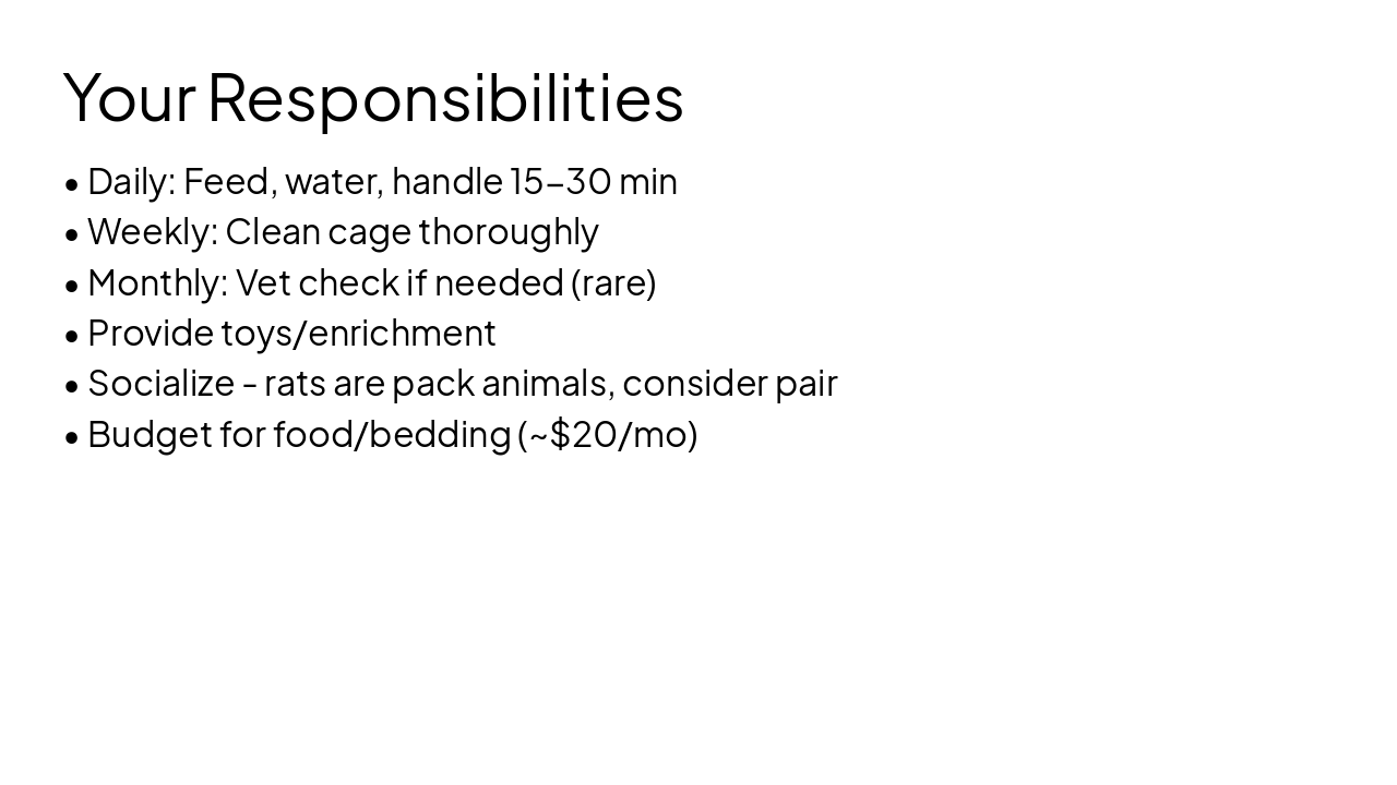Slide 12 - Your Responsibilities