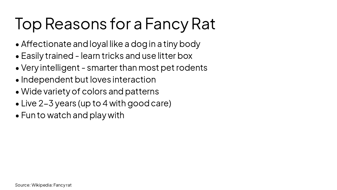 Slide 6 - Top Reasons for a Fancy Rat