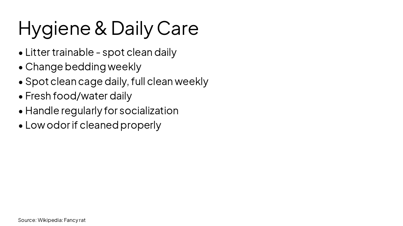 Slide 10 - Hygiene & Daily Care