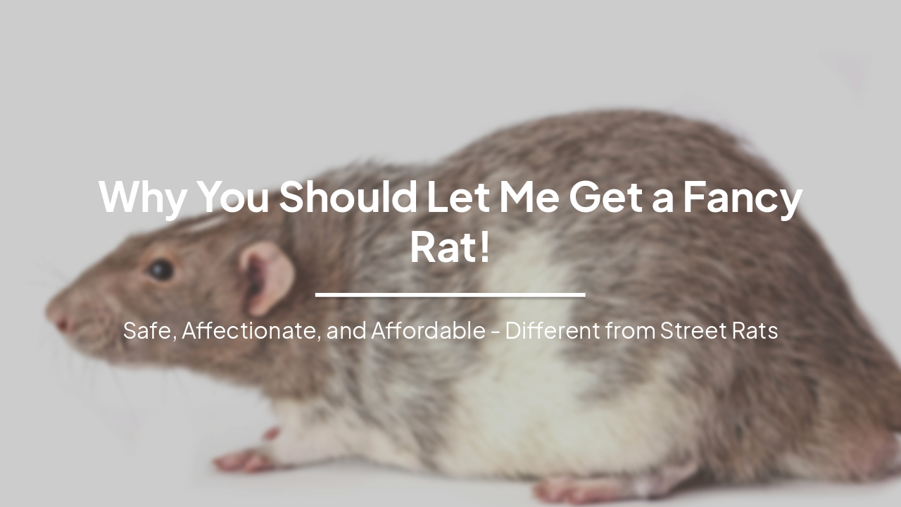 Slide 1 - Why You Should Let Me Get a Fancy Rat!