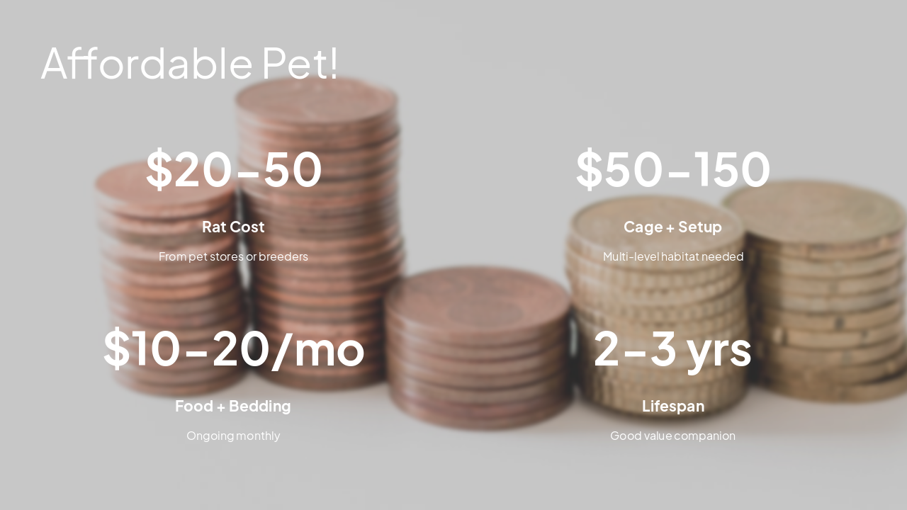 Slide 8 - Affordable Pet!