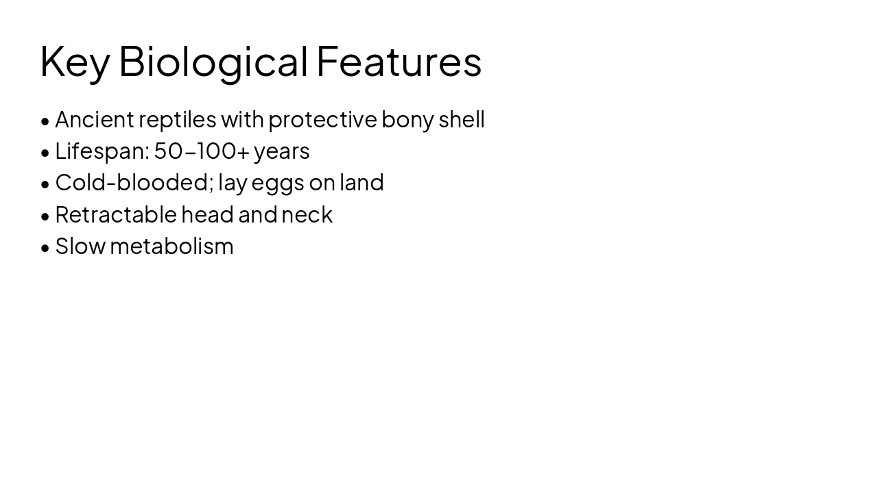 Slide 4 - Key Biological Features