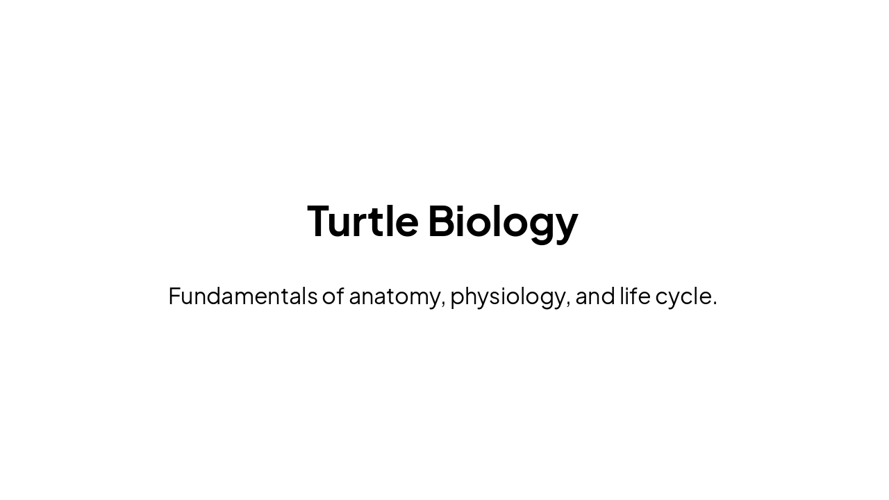 Slide 3 - Turtle Biology