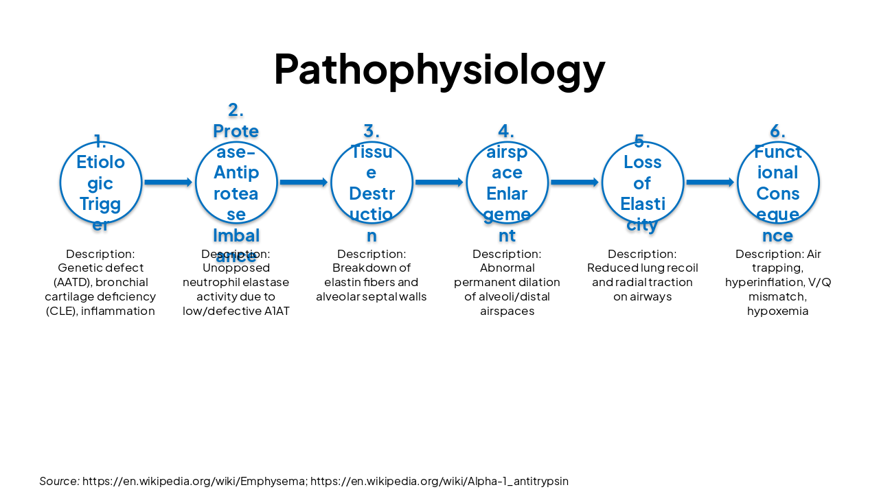 Slide 6 - Pathophysiology