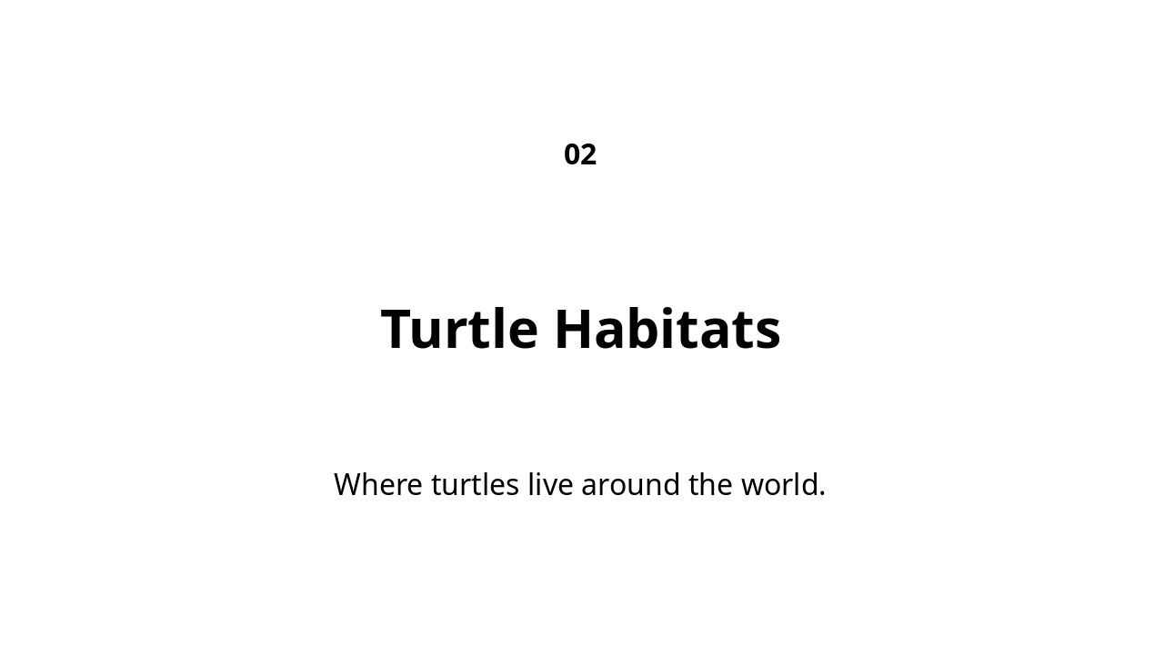 Slide 3 - Turtle Habitats