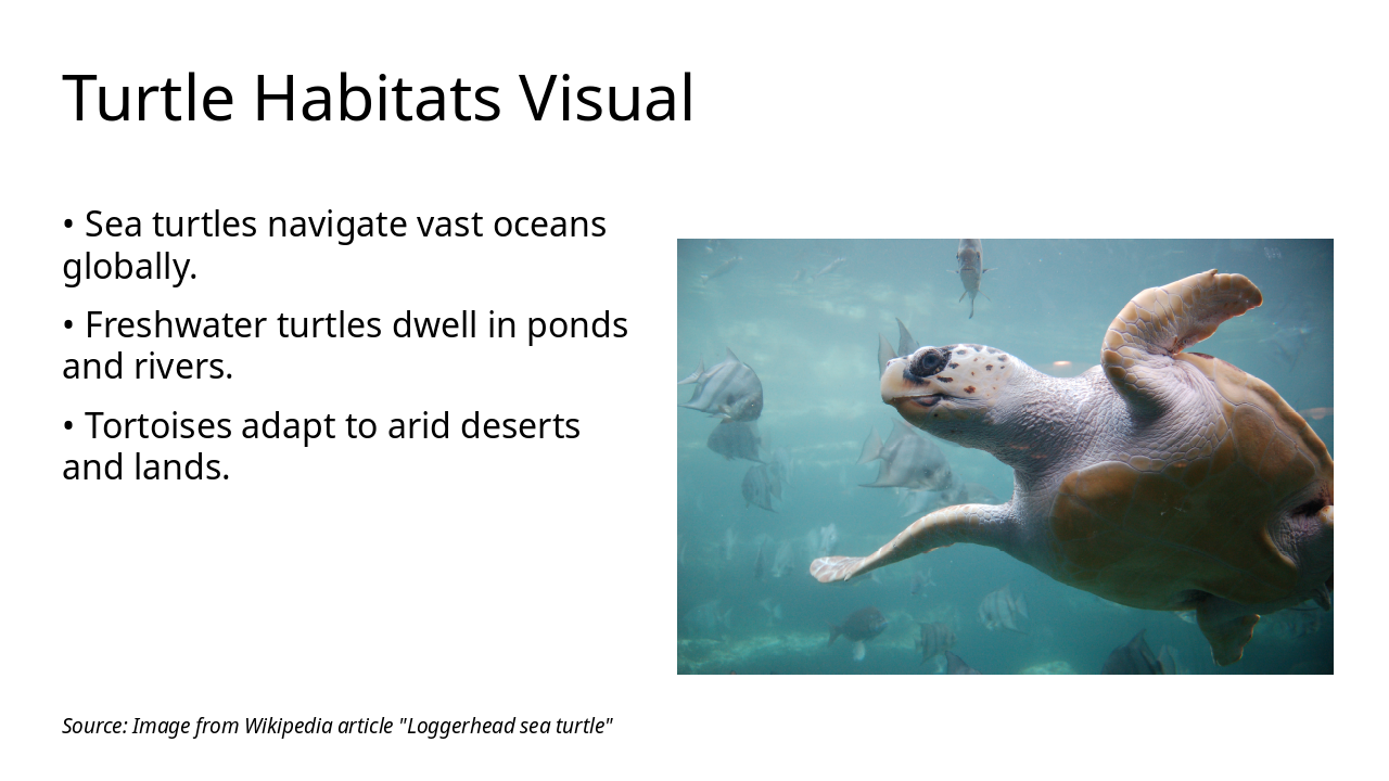 Slide 5 - Turtle Habitats Visual