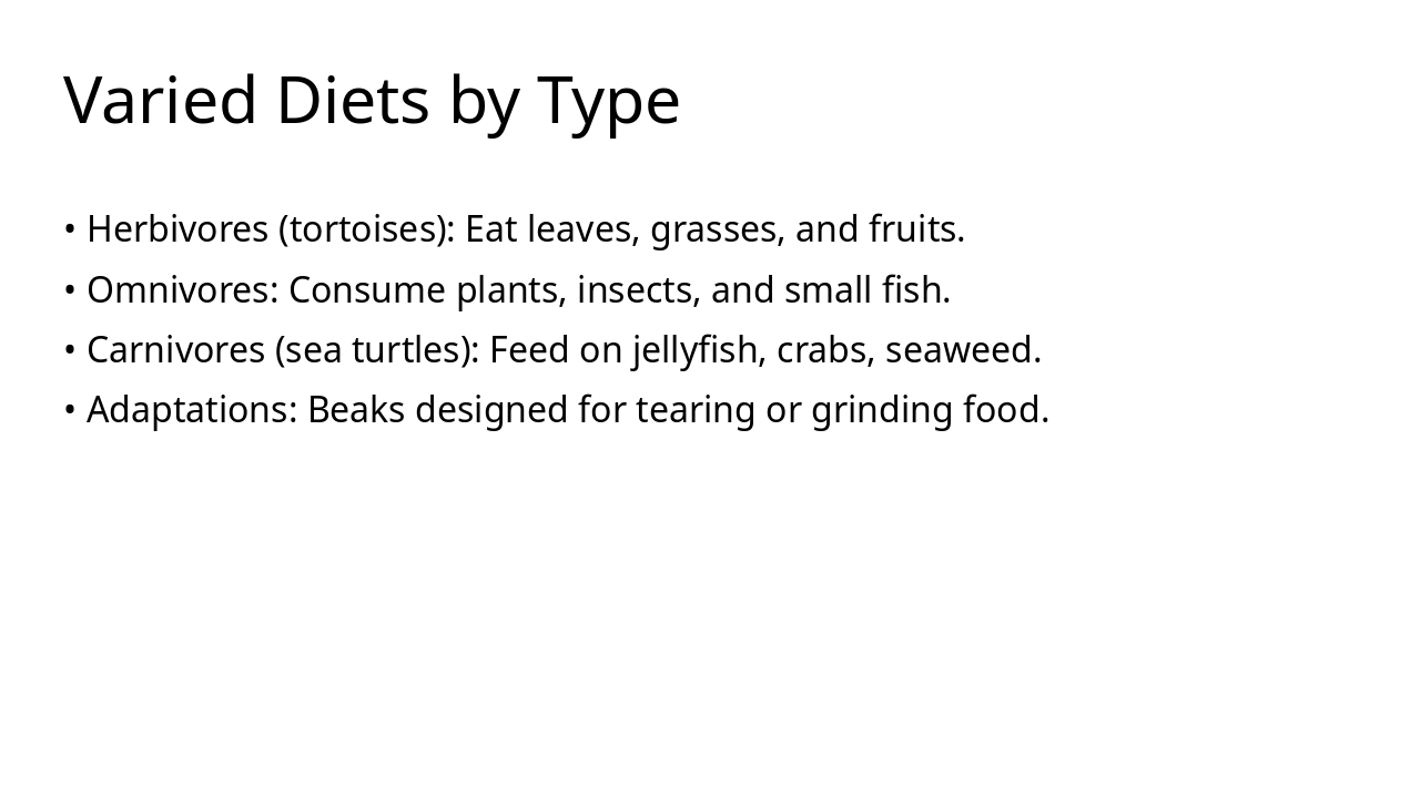 Slide 7 - Varied Diets by Type