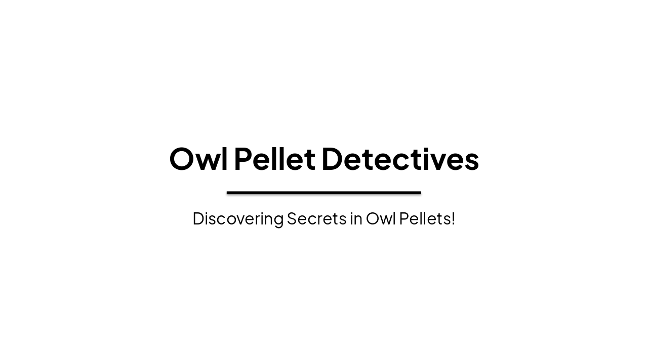 Owl Pellet Detectives: Uncovering Nature's Secrets