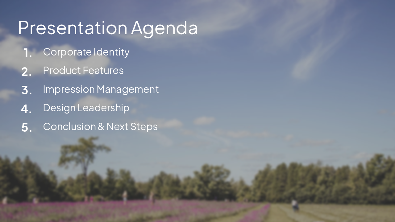 Slide 2 - Presentation Agenda