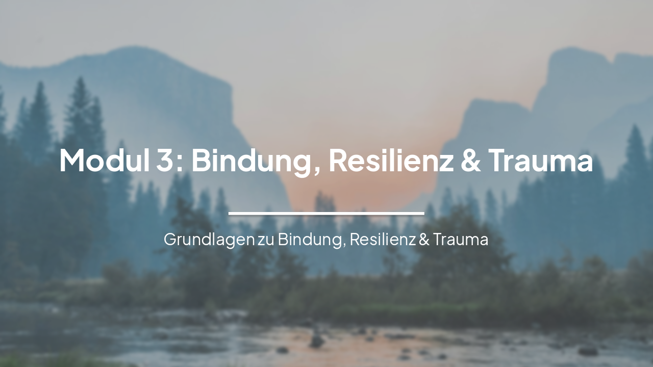 Modul 3: Bindung, Resilienz & Trauma – Grundlagen