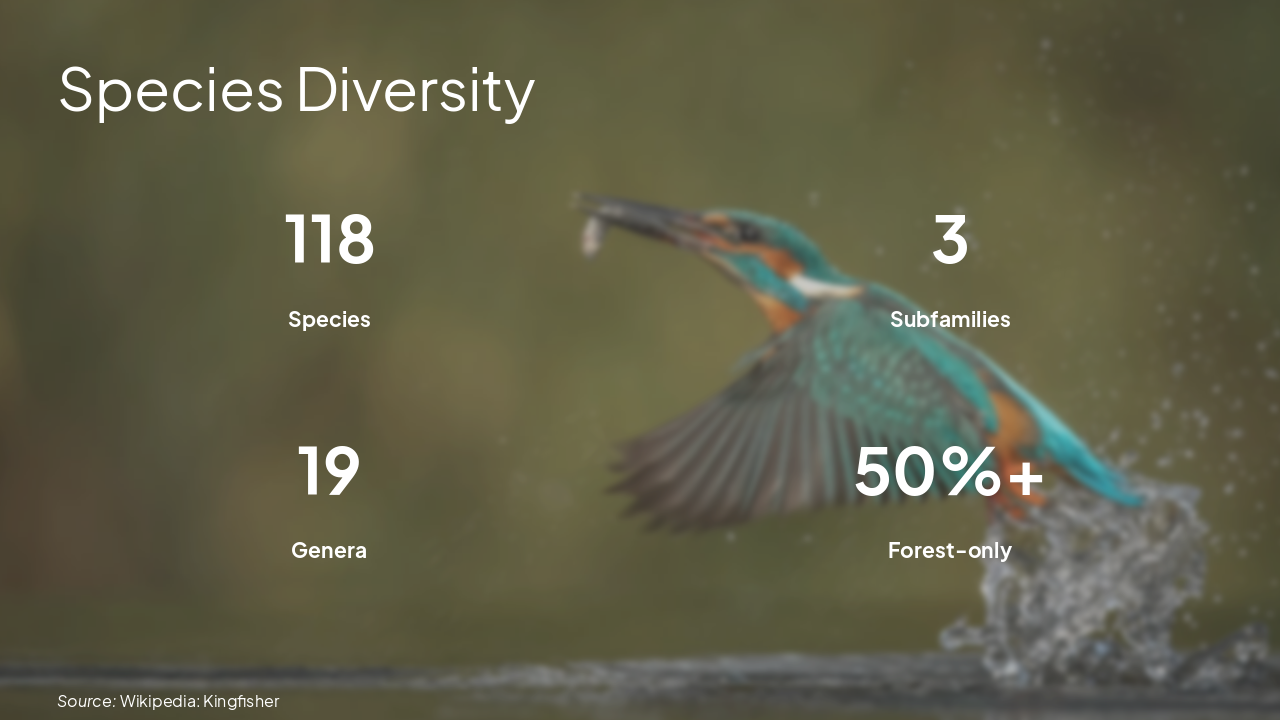 Slide 4 - Species Diversity