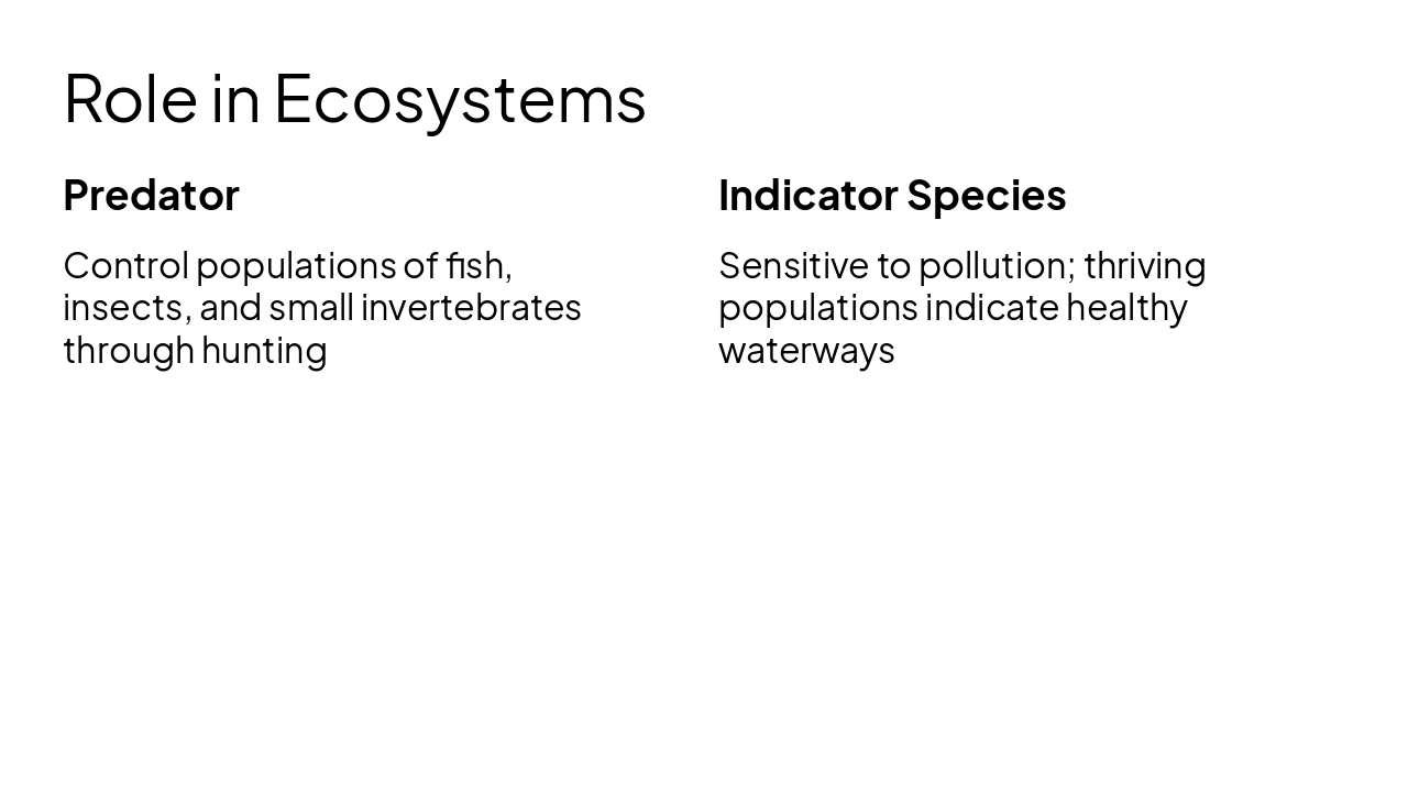 Slide 9 - Role in Ecosystems