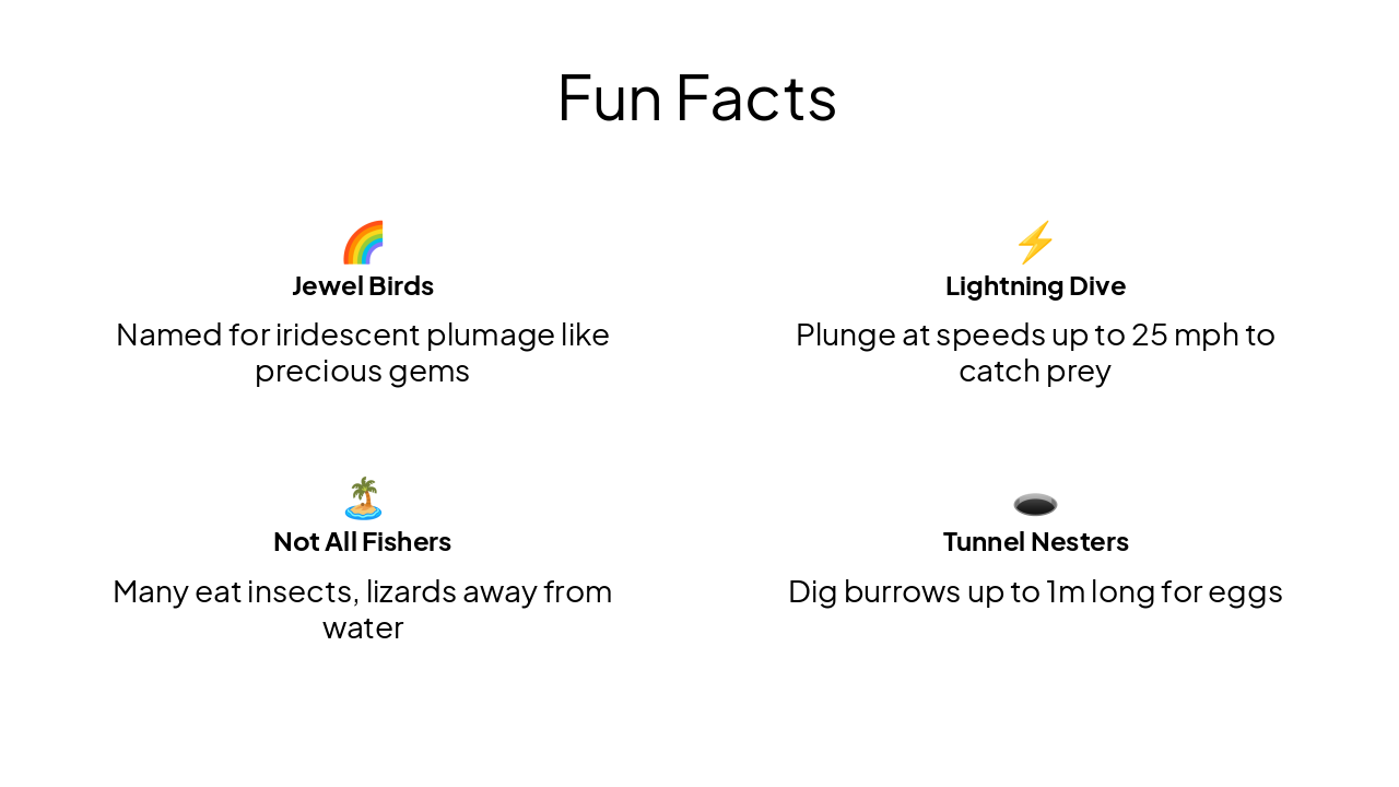 Slide 12 - Fun Facts