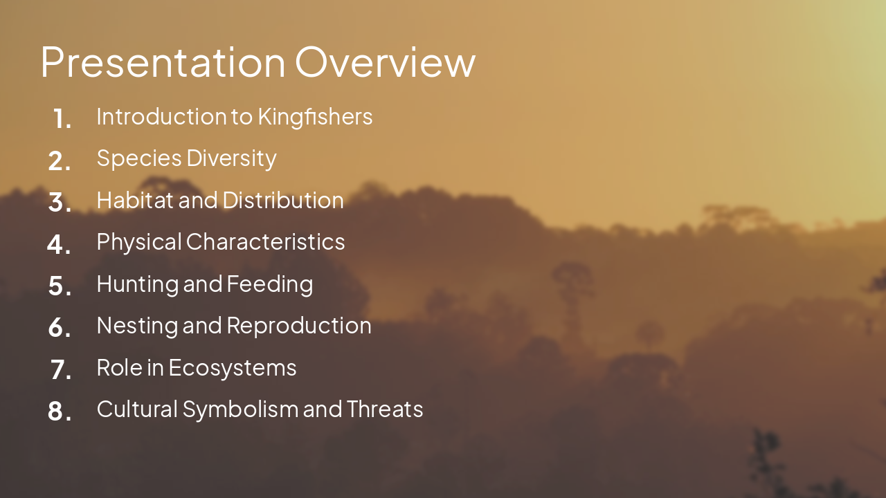 Slide 2 - Presentation Overview
