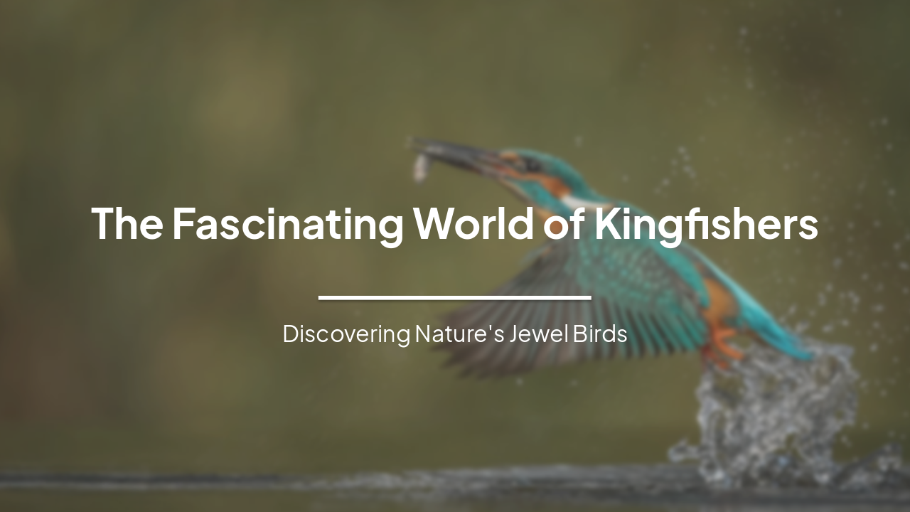 Slide 1 - The Fascinating World of Kingfishers
