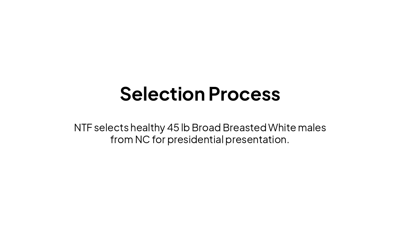Slide 4 - Selection Process
