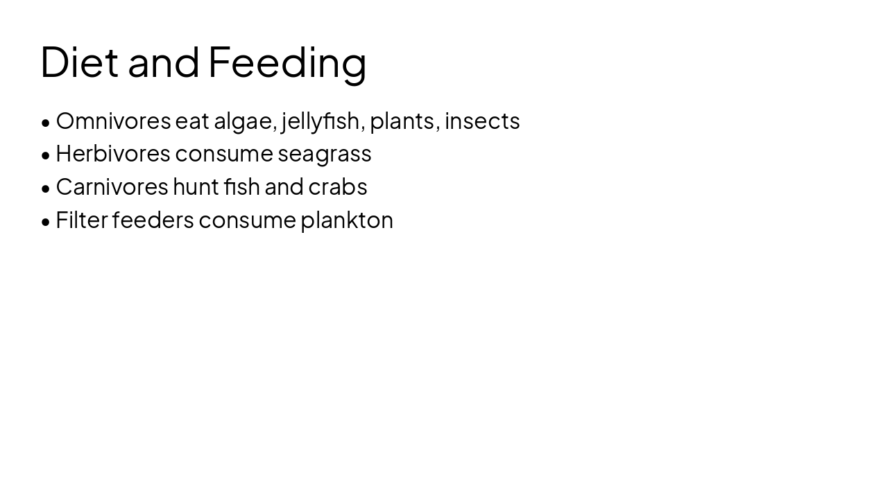 Slide 5 - Diet and Feeding