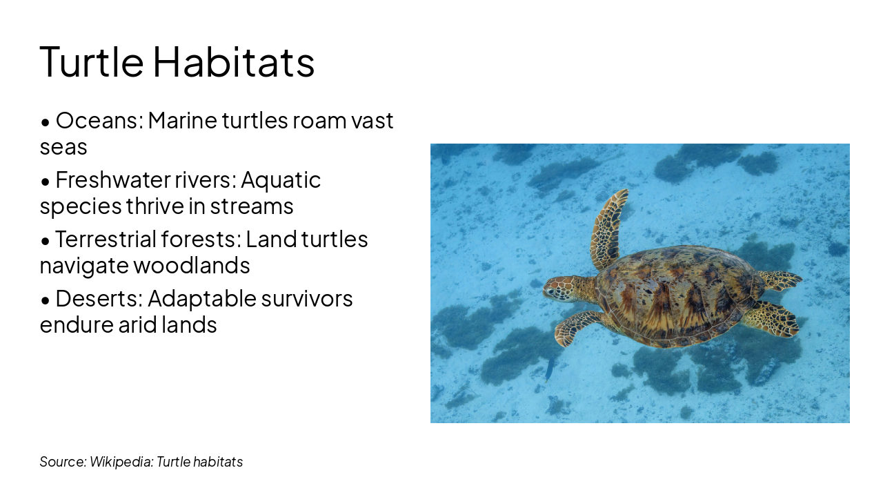 Slide 4 - Turtle Habitats